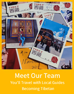 Meet Our Team